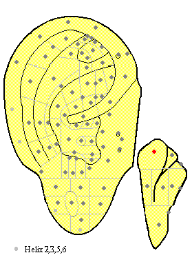 acupuncture ear point, heart of posterior surface (ma82) image