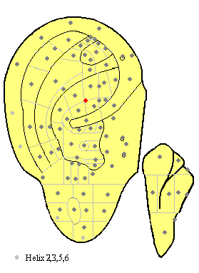 acupuncture ear point, middle cymba conchae (ma67) image