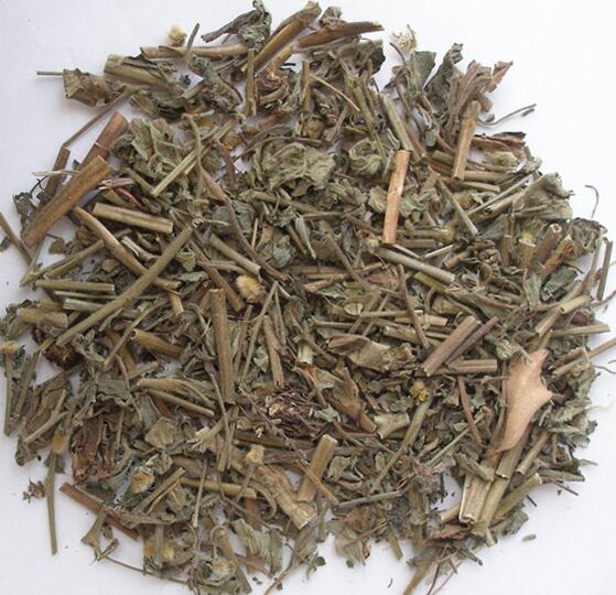 herba gei (lanbuzheng)