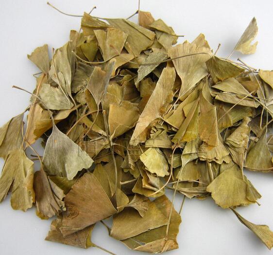 ginkgo leaf (yinxingye)