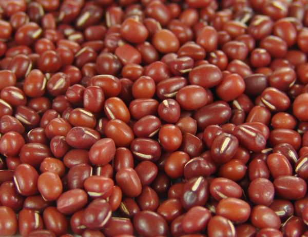 bloating, swelling, vomiting treated by use of adzuki beans