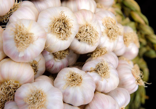 garlic is the best natural home remedy for back ache