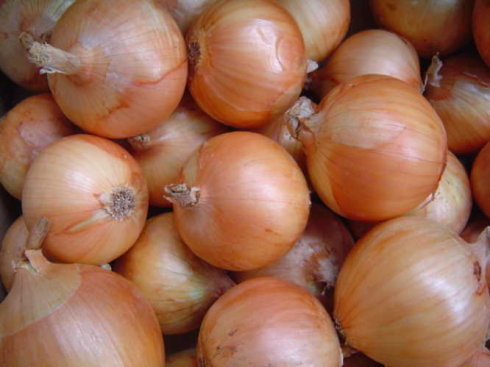onion natural remedy for fever really works wonders
