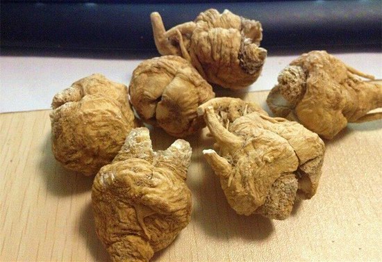 maca, a wonderful herb used as a cure for impotence