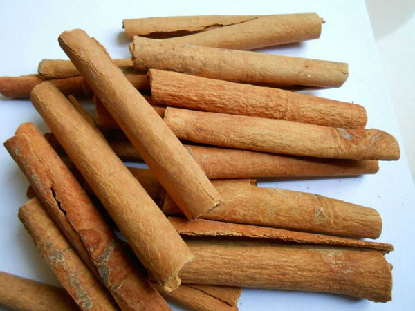 treatment of ringing in the ears, dizziness by cinnamon sticks