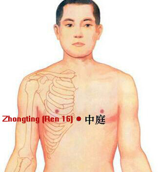 zhongting (ren 16)