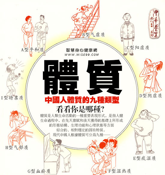 body constitutions, a glossary of traditional chinese medicine