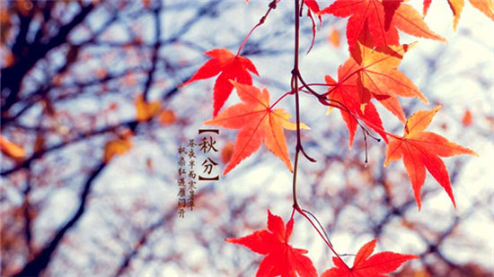 living tips at autumnal equinox in 24 solar terms of china