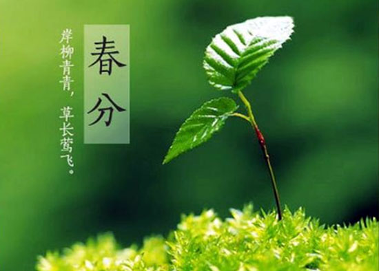 living tips at spring equinox in 24 solar terms of china