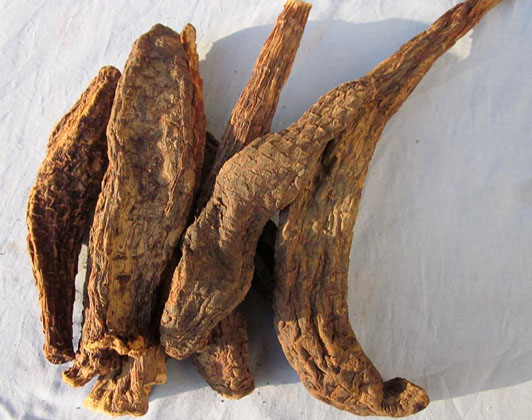 herbal remedies are the solutions to premature ejaculation