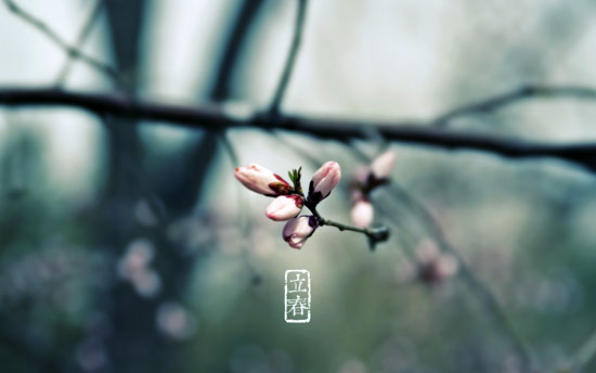 living tips at beginning of spring in 24 solar terms of china
