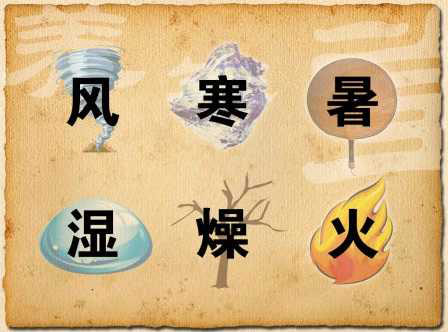 exogenous evils, a glossary of traditional chinese medicine