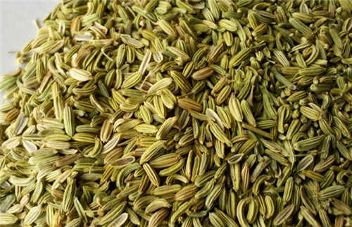 fennel is traditionally a herbal home remedy for obesity