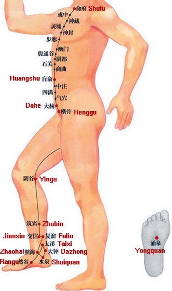 the kidney meridian of foot shaoyin