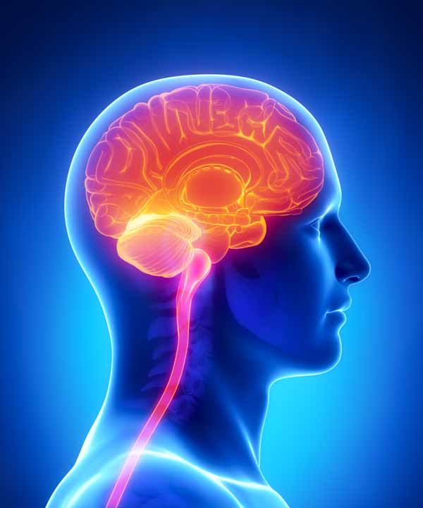 acupuncture therapy for aphasia recovery after stroke